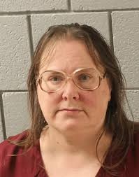 Camp Hill woman charged after allegedly making, cancelling hundreds of  false hotel reservations