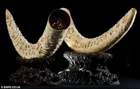 The chemical structure of the teeth and tusks of mammals is the same, regardless of the species of origin. Intricately Carved Chinese Elephant Tusks That Are Biggest To Ever Go Sale Set To Fetch Mammoth 250 000 At British Auction Daily Mail Online