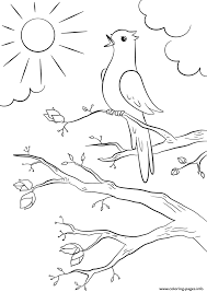 17 935 views 3 546 prints. Spring Bird Coloring Pages Printable