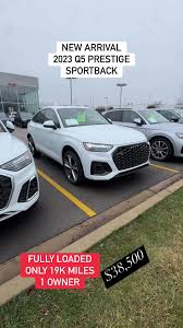 Image result for Vicuna Beige 2021 Q7