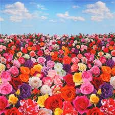 See more ideas about flowers, beautiful flowers, pretty flowers. Beautiful Colorful Flowers Digital Print Fabric By Elizabeth S Studio Kawaii Fabric Shop