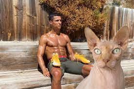 Born 5 february 1985) is a portuguese professional footballer who plays as a forward for serie a club. Cristiano Ronaldo Fliegt Seine Katze Per Privatjet Zum Tierarzt