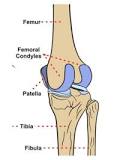 Image result for icd 10 code for chondrosis of right knee