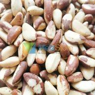 Kacang juga mengemas sejumlah vitamin dan mineral, termasuk magnesium dan vitamin e. 9 Jenis Kacang Kacangan Yang Bagus Untuk Kesehatan Bukareview