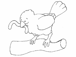 Ciencias Naturales Primaria Panosundaki Pin