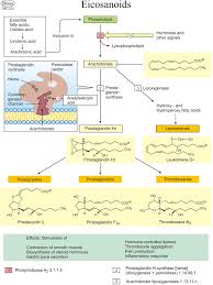 Biochemistry Charts For Classes Not Masses