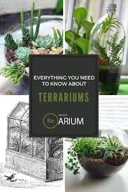 Terrarium Complete Care Guide How To Build Bantam Earth Plants Beautiful Terrariums Terrarium Plants