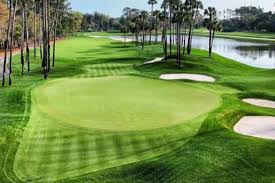 The 2020 players championship finals from the ricoh arena in coventry. Jsmbq3zujrxx0m