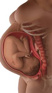 39 weeks pregnant | BabyCentre