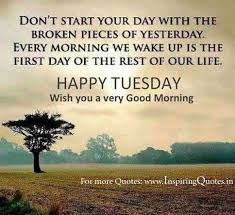 Tuesday's are really just monday's dressed in their sunday best. Good Morning Tuesday Funny Quotes Relatable Quotes Motivational Funny Good Morning Tuesday Funny Quotes At Relatably Com
