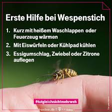 Diese Mittel Helfen Bei Einem Wespenstich Wespenstich Wespenstich Behandeln Wespe