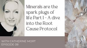 The Root Cause Protocol