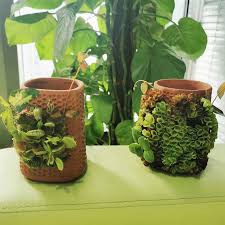 Buy indoor ceramic plant pots and get the best deals at the lowest prices on ebay! Automatic Watering Ceramic Flower Pot Honeycomb Shape Flower Pot Indoor Plants Water Seepage Flower Pots Flower Pots Planters Aliexpress