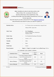 b pharmacy resume format for freshers
