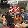 Sperm Whale: Roya's Selection