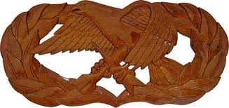 Us Office Of Personnel Management Badge Plaque Badge To Plaque Collection Badge Military Life Us Office
