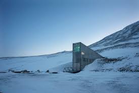 The millennium seed bank project (msbp) is located at the royal botanical gardens, kew. Bonn Based Crop Trust Helps To Safeguard Valuable Seeds From All Over The World In The Norwegian Ice Kfw Stories