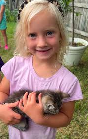 Vets in Training Summer Camp for Kids