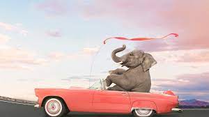 Cars, trains, planes and other technical machines and mechanisms fill. Elephant Auto Insurance Review