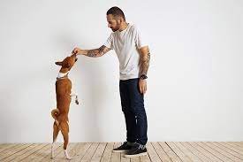 How To Become A Dog Trainer: Things To Know About Dog Training
