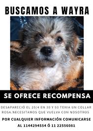 Demos la bienvenida a los nuevos miembros del grupo: Rocio Landa, Franco  Rocha, Edel Arias, Pablo Marquez, Elena García