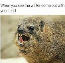 Hahahaha Me Funny Pictures Fresh Memes Funny