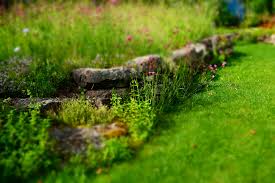 Sehen sie, wie sie ihr garten mit einer selbstgebauten treppe aus verschiedenen naturmaterialien, wie holz und stein, verschönern können. Echte Steingarten Statt Kieswusten Lbv Gemeinsam Bayerns Natur Schutzen