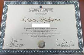Hocam ben 1999 yılında anadolu üniversitesi i̇şletme fakültesini türkiye derecesi ilk 100'e girerek bitirmiştim.bize o yıllarda onur belgesi vermediler. Diplomalarda Acikogretim Yaziyor Mu Aof Acikogretim Cikmis Sorular Ve Aof Bilgileri