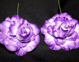 Purple Gardenia Purple Rose Gardenia