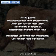 Er sollte für den rest seines lebens in einen beutel scheißen. Die Besten 51 Arsch Spruche Auf Istdaslustig De