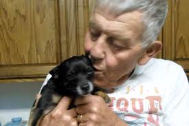 Found a male black and tan chihuahua in Pacific's Cedars subdivision this  afternoon. No collar/tags. Call or text 636.388.2064 if this is your dog or  you think you know where he belongs.