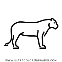 Explore 623989 free printable coloring pages for you can use our amazing online tool to color and edit the following detailed cat coloring pages. Big Cat Coloring Pages Ultra Coloring Pages