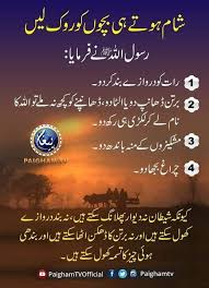 Birds Chirping In The Morning Islam Pin On احادیث