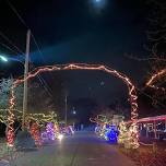 Christmas in the Park