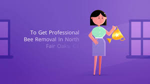 Serving to the communities of. Ocp Bed Bug Exterminator North Fair Oaks Ca Bed Bug Removal