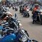 Wharf Rat Rally event image