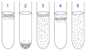 Facultative Anaerobic Organism Wikipedia