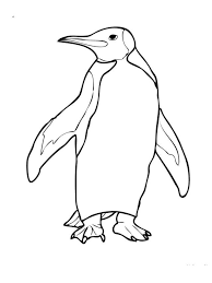 25 Marvelous Photo Of Penguin Coloring Page Entitlementtrap Com Penguin Coloring Penguin Coloring Pages Bird Coloring Pages