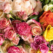 Delivering 7 days a week. Beautiful Flower Delivery Auckland From 49 Flowerist