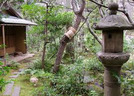 We did not find results for: 5 Types Of Authentic Japanese Garden Design You Should Know