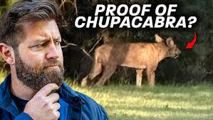 Thai Van Nguyen, 2021 Goldman Environmental Prize, Vietnam