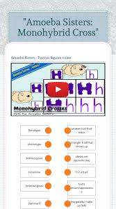 Some of the worksheets for this concept are amoeba sisters answer key, amoeba sisters video recap alleles and genes, amoeba sisters genetic drift answer keys, multiple allele work answers, amoeba sisters meiosis work answers, amoeba sisters video recap, genetics, genetics genetics and more genetics. Amoeba Sisters Monohybrid Cross Interactive Worksheet By Rebecca Giannetti Wizer Me