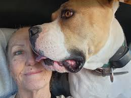 Grand Gedeh County be very very strong and careful because the Wologasi  mountain 🌄 Lion 🦁 very vex, you can see the blood around his face.