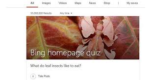 Are you the winner or not. When The Bing Homepage Quiz Tries To Be Hip With Modern Trends Album On Imgur