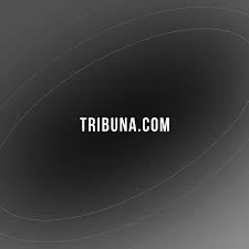 Adi Tamir — Hapoel Kfar Shalem: Midfielder, Profile & News