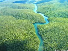 We did not find results for: Amazon Rainforest Facts Amazon Rain Forest Map Information Travel Guide