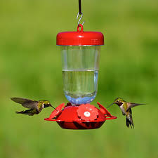 Classic vs high view as most flowers have brightly colored foliage, hummingbirds are drawn to bright colors especially the. Perky Pet Perky S Finest Red Flower Top Fill Plastic Hummingbird Feeder Model 135tf Perkypet Com