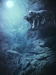Full Moon Dark Photo Manipulation Full Moon Wolf Artwork