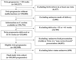 flow chart in the selection of the twin pregnancy study