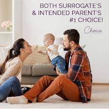 We did not find results for: How To Find A Surrogate In Texas Arxiusarquitectura